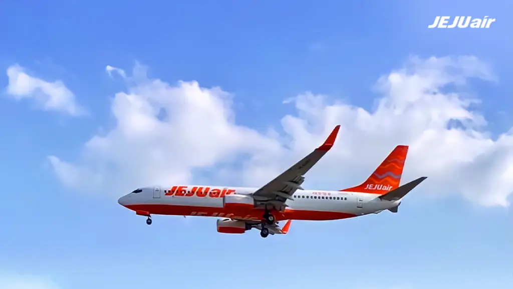 Jeju Air Boeing 737-800 aircraft in flight against a blue sky with scattered clouds.