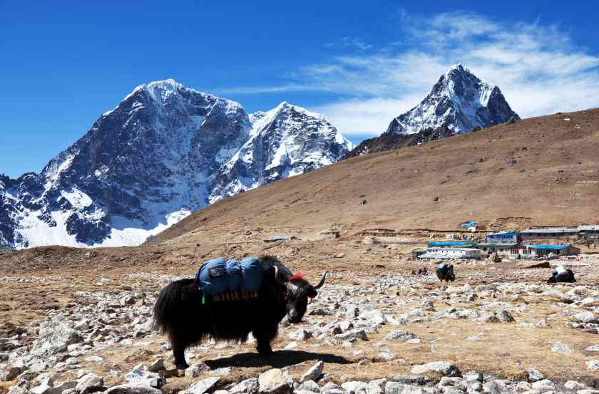 Eastern Nepal: Discover Hidden Treasures and Cultural Riches with New Homestay Circuit