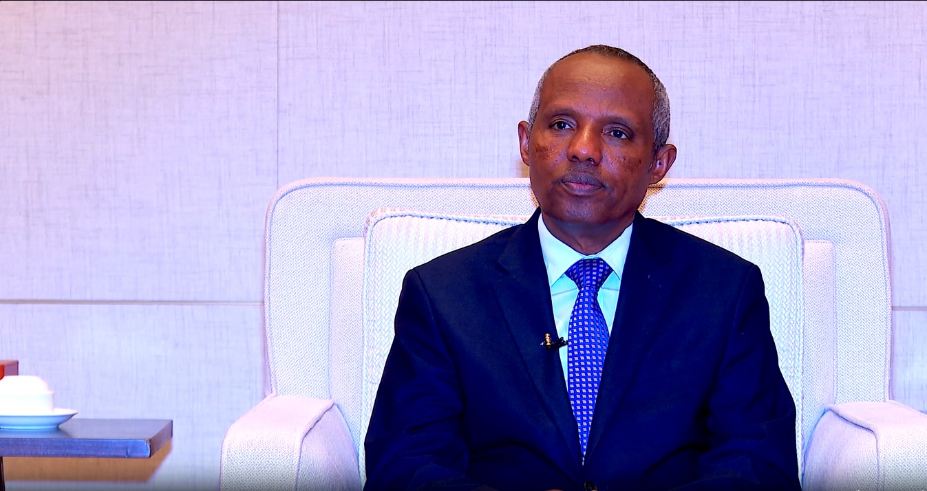 Ethiopian Airlines Advancing Steadily Toward Vision 2035, Says CEO - ENA English