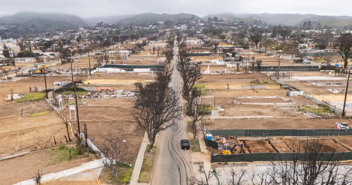 Los Angeles to halt 'disaster tourism' buses through Palisades fire zone