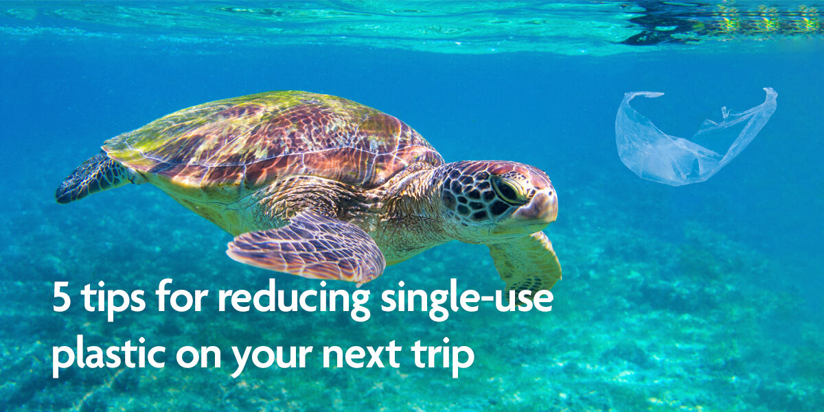 5 tips for reducing single-use plastic on your next trip — WTTC Travel Hub