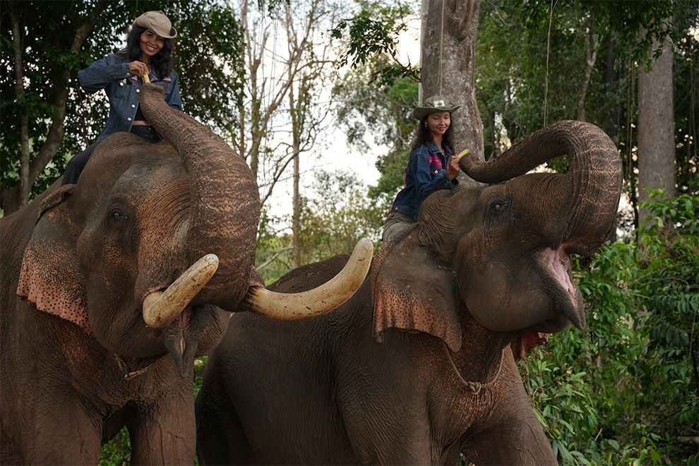Cambodia's tourism ministry partners up to protect Ratanakkiri’s last domestic elephants