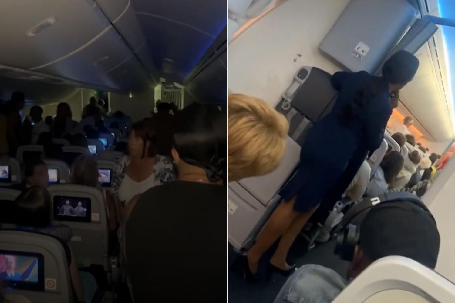Plane Passenger Allegedly Tries to Open Cabin Door Mid-Flight: Video