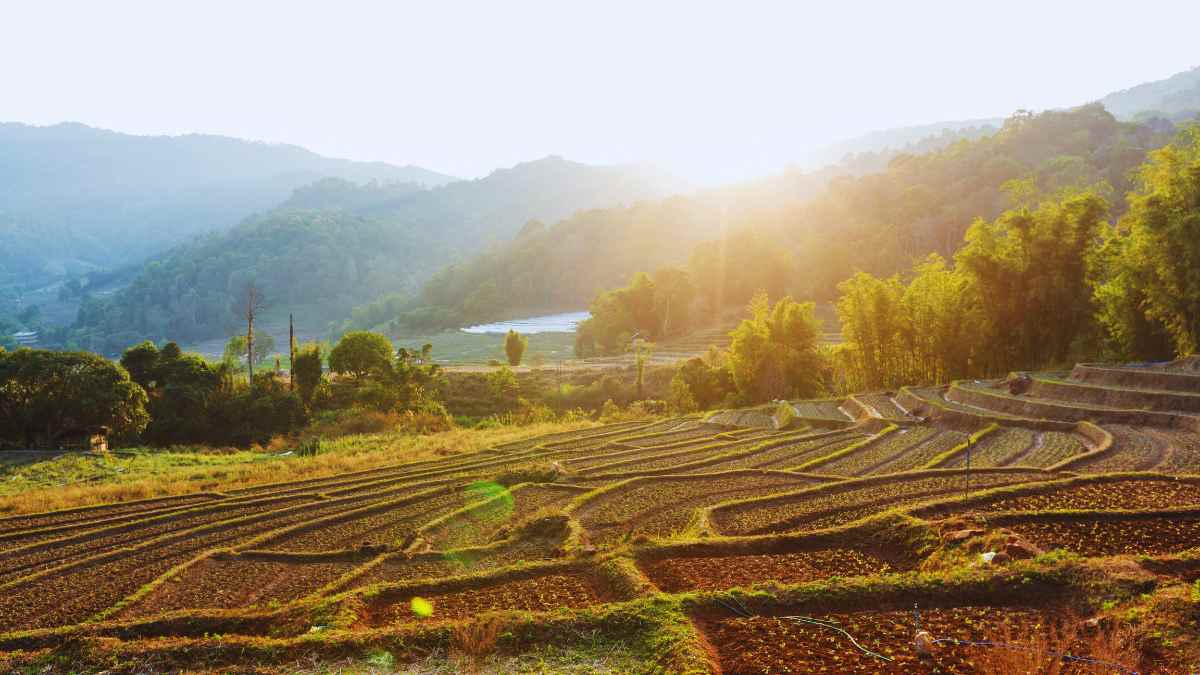 Northern Thailand, Known For Its Pristine Landscapes, Slowly Reopens Attractions After Heavy Floods